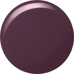 Lakier do paznokci ALCINA Nail Colour Winter Plum